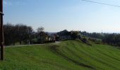 Excursión A pie Sankt Oswald bei Plankenwarth - Wanderweg 34 - Photo 4