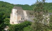 Tocht Mountainbike La Chapelle-Aubareil - montignac 230617 - Photo 4