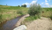 Excursión A pie Raaba-Grambach - GSR Nordring - Photo 1