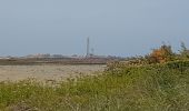 Excursión Senderismo Plouguerneau - le Phare de l'ile Vierge - Photo 2