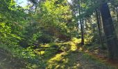 Trail Walking Le Syndicat - depuis Nol balcon de Solem - Photo 4