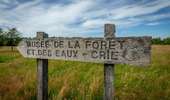 Tour Fahrrad Spa - Fagne de Malchamps - Desnié - Photo 9