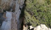 Tour Wandern Marseille - Rando tour de la Candelle-Sugiton-Sofmiou - Photo 14