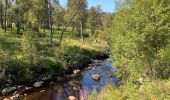 Tour Wandern Monschau - Mützenich Ternell 22 km - Photo 10