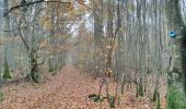 Trail Walking Vendeuvre-sur-Barse - Funghi automne 19 A - Photo 4
