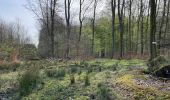 Excursión Senderismo Corcy - en forêt de Retz_91_04_2022_la Laie de la Belle Epine - Photo 12