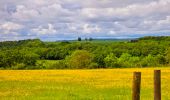 Tour Wandern Chaumont - Boucle 31 km autour de Chaumont - Photo 8