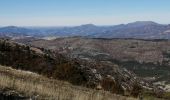 Tocht Stappen La Roche-sur-le-Buis - la montagne de Banne  - Photo 4