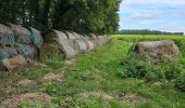 Excursión Senderismo Thoré-la-Rochette - Thoré-la-Rochette - Vallée et Coteaux du Loir - Photo 8