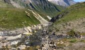 Tocht Stappen Bourg-Saint-Maurice - Les chapieux-col des four  - Photo 9