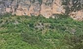 Trail Walking Massegros Causses Gorges - le rozier  - Photo 2