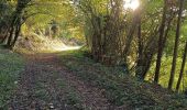 Trail Road bike Beaulieu - Beaulieu - Cognin par la pisciculture  - Photo 5