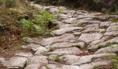 Percorso A piedi Soalhães - Pedras, Moinhos e Aromas de Santiago - Photo 9