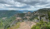 Trail Walking Saint-Pierre-des-Tripiers - 21 06 07 Les corniches de la Jonte et du Tarn - Photo 6