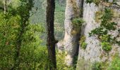 Randonnée Marche Massegros Causses Gorges - Baousse del fiel - Photo 5