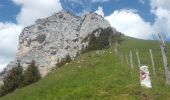 Randonnée Marche Entremont-le-Vieux - Sommet Pinet à partir de la Balme - Photo 13