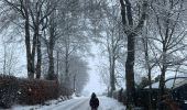 Tocht Stappen Büllingen - Neige - Photo 4