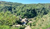 Tour Wandern Thorrenc - Le lac de vert - Photo 13