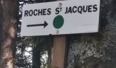 Randonnée Marche Rochesson - ROCHESSON ... sur les hateurs.  - Photo 6