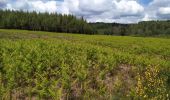 Trail Walking Gedinne - La Croix du Garde - Photo 2