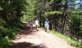 Trail Walking Névache - la vallée étroite, lac vert - Photo 4