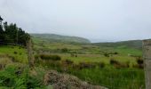 Tocht Te voet West Cork - Cahergal Loop Walk - Photo 5