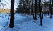 Tour Zu Fuß Ermelo - Leuvenumse bos (blauwe route) - Photo 6