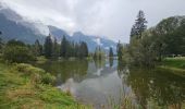 Tocht Stappen Chamonix-Mont-Blanc - J8 - Cascade du Dard - Photo 19