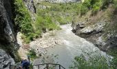 Trail Walking Rougon - Point sublime Verdon Blanc Martel 12 km - Photo 1