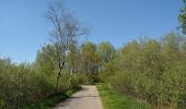 Trail On foot Heide - Rundwanderweg - Tour 2 - Photo 1