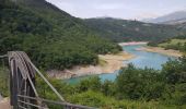 Randonnée Marche Treffort - Les Passerelles du Monteynard - Photo 5