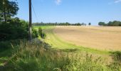Trail Walking Ciney - Conjoux 300724 - Photo 17
