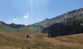 Tour Wandern Bellecombe-en-Bauges - montagne du charbon : montée par la piste Reposoir. col de bornette . refuge de la combe / retour même itinéraire sauf par les champs et bois depuis bornette  - Photo 10