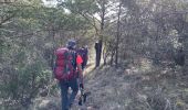 Trail Walking Aups - Aups - ND de Liesse - Photo 4