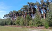 Trail Walking Genk - kettevennen genk - Photo 2