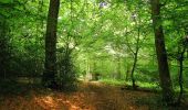 Tour Wandern Coyolles - en forêt de Retz_78_les rayons du Rond Capitaine - Photo 10