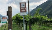 Tour Zu Fuß Rivoli Veronese - Canale-Monte Cordespino - Photo 3