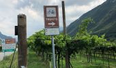 Tour Zu Fuß Ferrara di Monte Baldo - Canale - Madonna della Corona - Photo 6