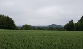 Trail Walking Liège - Rocourt - Oupeye - Rocourt  - Photo 7