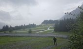 Excursión Senderismo Passy - J27 - R25 - 🍂🍁 Plaine-Joux - Les Ayères  - Lac Vert 🍁🍂
 - Photo 2