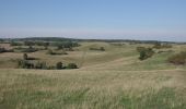 Excursión A pie Flieth-Stegelitz - Rundweg Gerswalde - Photo 8