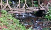 Trail Walking Gérardmer - autour de gérardmer  - Photo 6