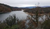 Trail Walking Montauroux - Le lac de Saint Cassien et la réserve biologique de Fondurane - Photo 3