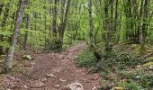 Trail Walking Entrelacs - Belvédère de la Chambotte - Mont de Corsuet - Photo 8