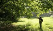 Tour Zu Fuß Tervuren - Arboretumwandeling - Photo 2