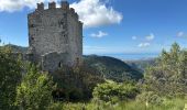 Excursión Senderismo Cantaron - Cantaron : Monts Macaron et Ubac - Photo 11