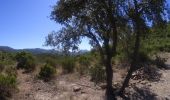 Randonnée V.T.T. Saint-Raphaël - VTT dans L'Estérel et les lacs - Photo 8