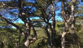 Tour Wandern Saint-Guilhem-le-Désert - Saint-Guilhem-le-Désert / Roc de la Jarre / Ermitage ND de Belle Grâce - Photo 11