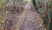 Trail Walking Namur - Malonne 171122 - Photo 6