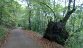 Excursión A pie Vagli Sotto - Garfagnana Trekking - Tappa 4 - Photo 3